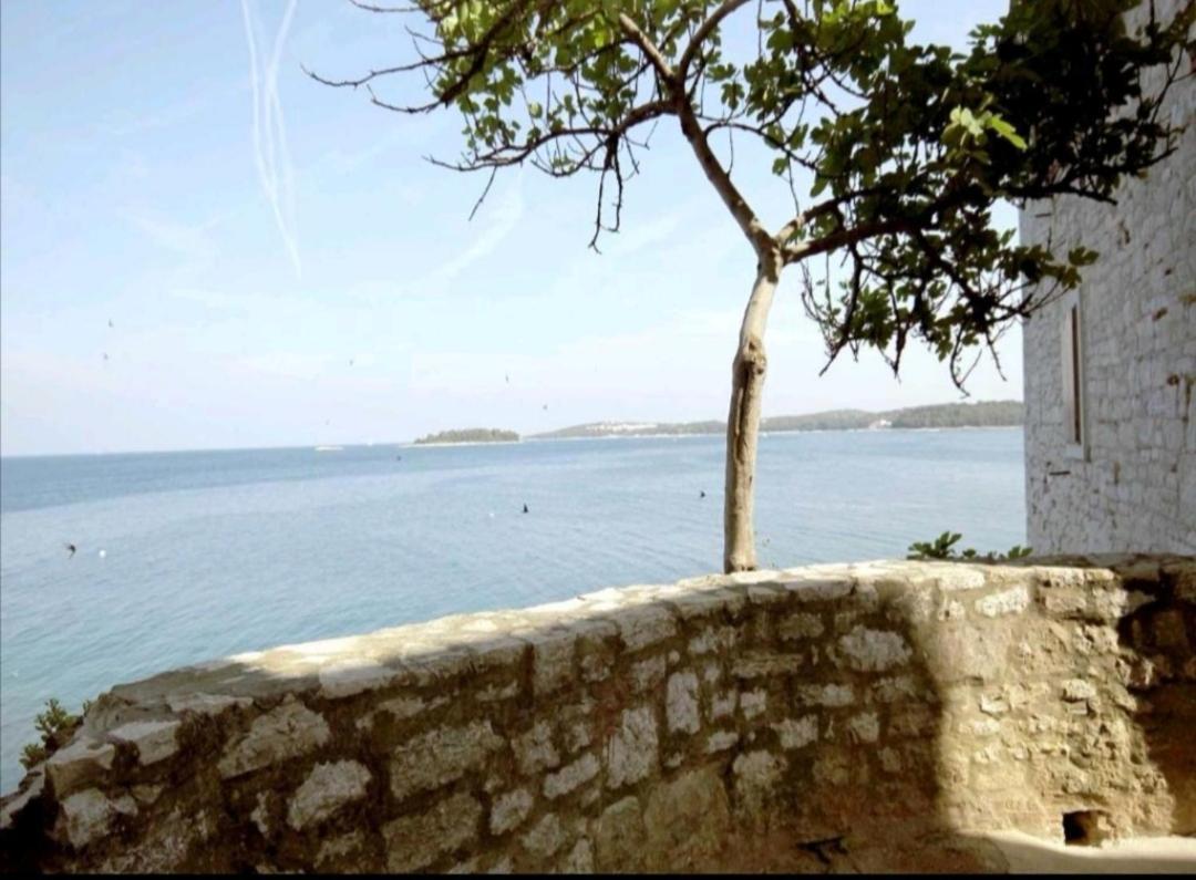 Apartment Giulio - 10Mt To The Beach Rovinj Exterior foto